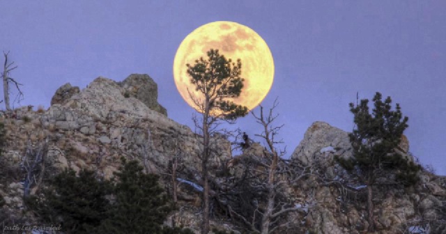 Black Hills.jpg
